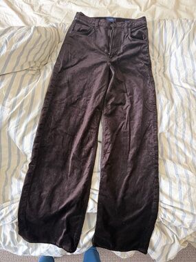 Citizens Of Humanity velvet Pants in Dark chocolate Brown